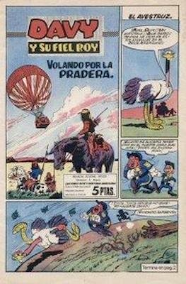 Rin-tin-tin / Davy y su fiel Roy #333