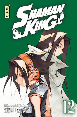 Shaman King #12