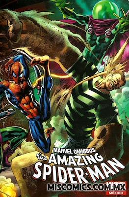 Marvel Omnibus The Amazing Spider-Man