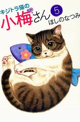 キジトラ猫の小梅さん 虎斑猫小梅 (Kijitora Neko no Koume-san) #5