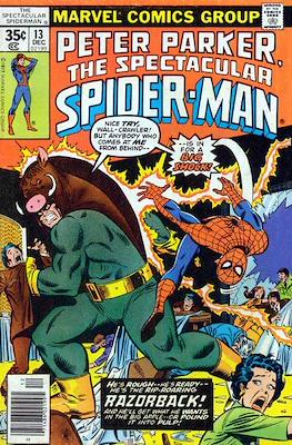 Peter Parker, The Spectacular Spider-Man Vol. 1 (1976-1987) / The Spectacular Spider-Man Vol. 1 (1987-1998) (Comic Book) #13