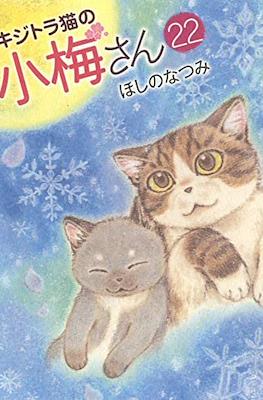キジトラ猫の小梅さん 虎斑猫小梅 (Kijitora Neko no Koume-san) #22