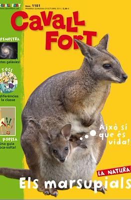 Cavall Fort #1181