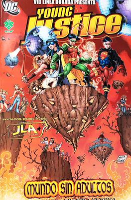 Young Justice. Mundo sin Adultos