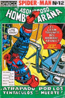 Spider-Man: El Asombroso Hombre Araña (Grapa) #12