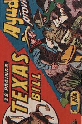 Texas Bill #29