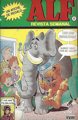 Alf #4