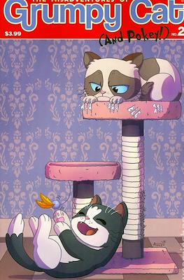 The Misadventures of Grumpy Cat (and Pokey!) (2015 Variant Cover) #2
