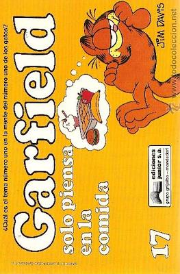 Garfield (Rústica) #17