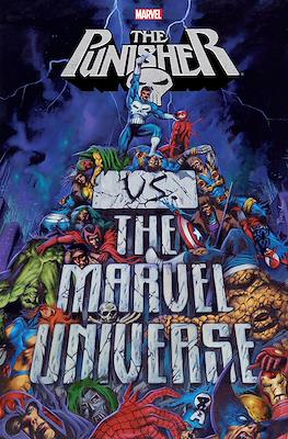 The Punisher vs. The Marvel Universe