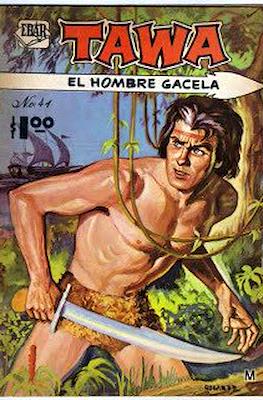Tawa, El Hombre Gacela #41