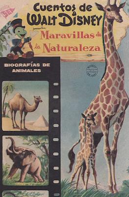 Cuentos de Walt Disney #144
