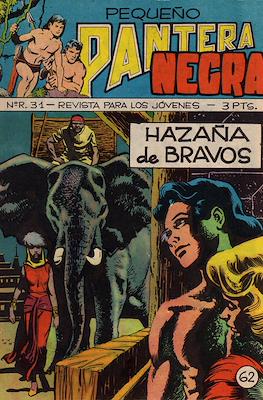 Pequeño Pantera Negra #62