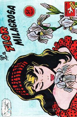 Colección Ave #101