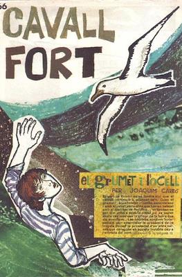 Cavall Fort #166