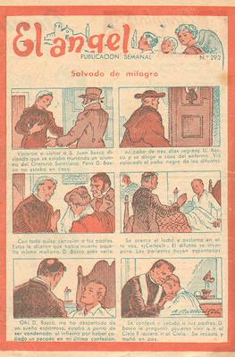 El Ángel #293