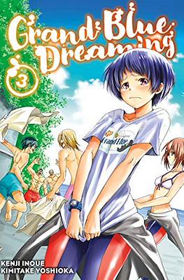Grand Blue Dreaming (Softcover) #3