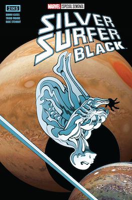 Silver Surfer: Black (Grapa) #2