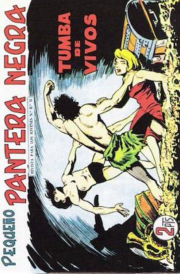 Pantera Negra / Pequeño Pantera Negra #248