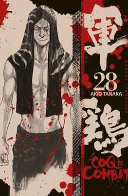 Coq de combat #28