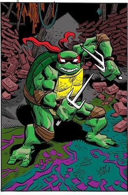 Teenage Mutant Ninja Turtles (2011-...Variant Covers) #146.5