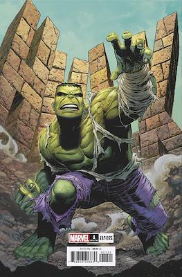 The Incredible Hulk (2023-Variant Cover) (Comic Book) #1.1