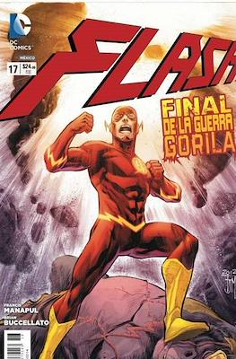 Flash (Grapa) #17