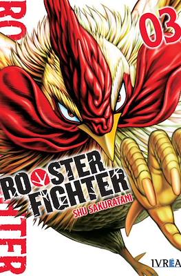 Rooster Fighter #3