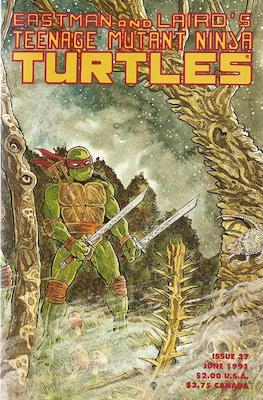Teenage Mutant Ninja Turtles Vol.1 #37