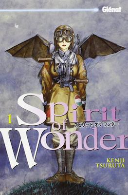 Spirit of Wonder