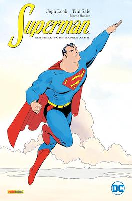 Superman: Ein Held Fürs Ganze Jahr