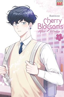 Cherry Blossoms After Winter