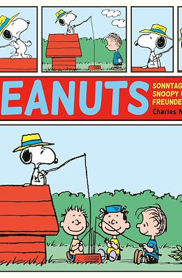 Peanuts Sonntagsseiten #2
