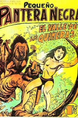 Pantera Negra / Pequeño Pantera Negra #119