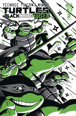 Teenage Mutant Ninja Turtles: Black, White and Green #2