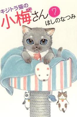 キジトラ猫の小梅さん 虎斑猫小梅 (Kijitora Neko no Koume-san) #7