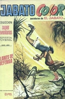Jabato Color #105