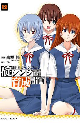 新世紀エヴァンゲリオン　碇シンジ育成計画 (Shin Seiki Evangelion: Ikari Shinji Ikusei Keikaku) #12