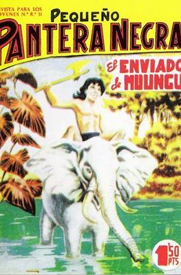 Pantera Negra / Pequeño Pantera Negra #75