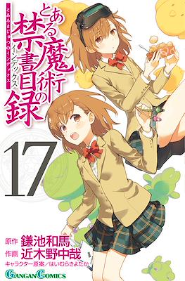 とある魔術の禁書目録 (Toaru Majutsu no Index) #17