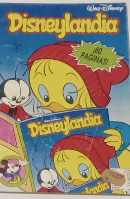 Disneylandia (Rústica) #22
