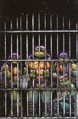 Teenage Mutant Ninja Turtles (2024- Variant Cover) #11.4