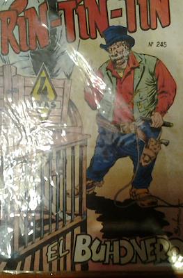 Rin-tin-tin / Davy y su fiel Roy #245
