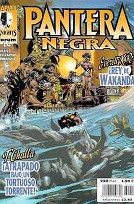 Pantera Negra (1999-2000). Marvel Knights #14