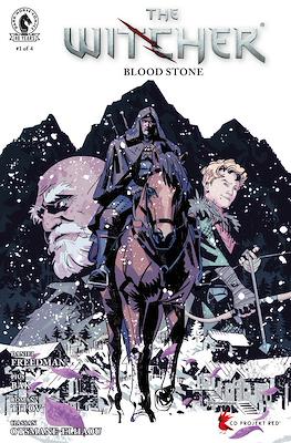 The Witcher Blood Stone