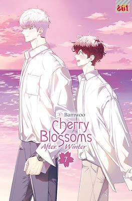 Cherry Blossoms After Winter #7