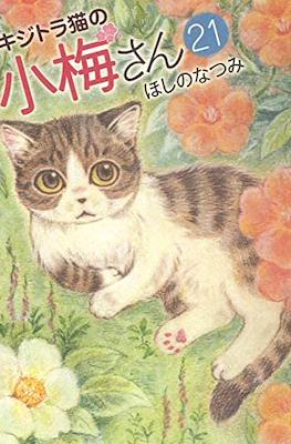 キジトラ猫の小梅さん 虎斑猫小梅 (Kijitora Neko no Koume-san) #21