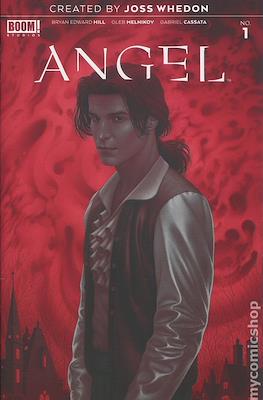 Angel Vol 4 #1 Cover F 2nd Ptg Variant Boris Pelcer Cover (Comic Book) #1.4