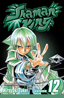 Shaman King (Softcover) #12