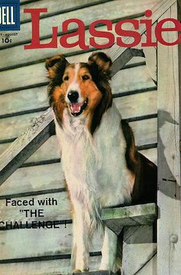 M-G-M's Lassie / Lassie #41